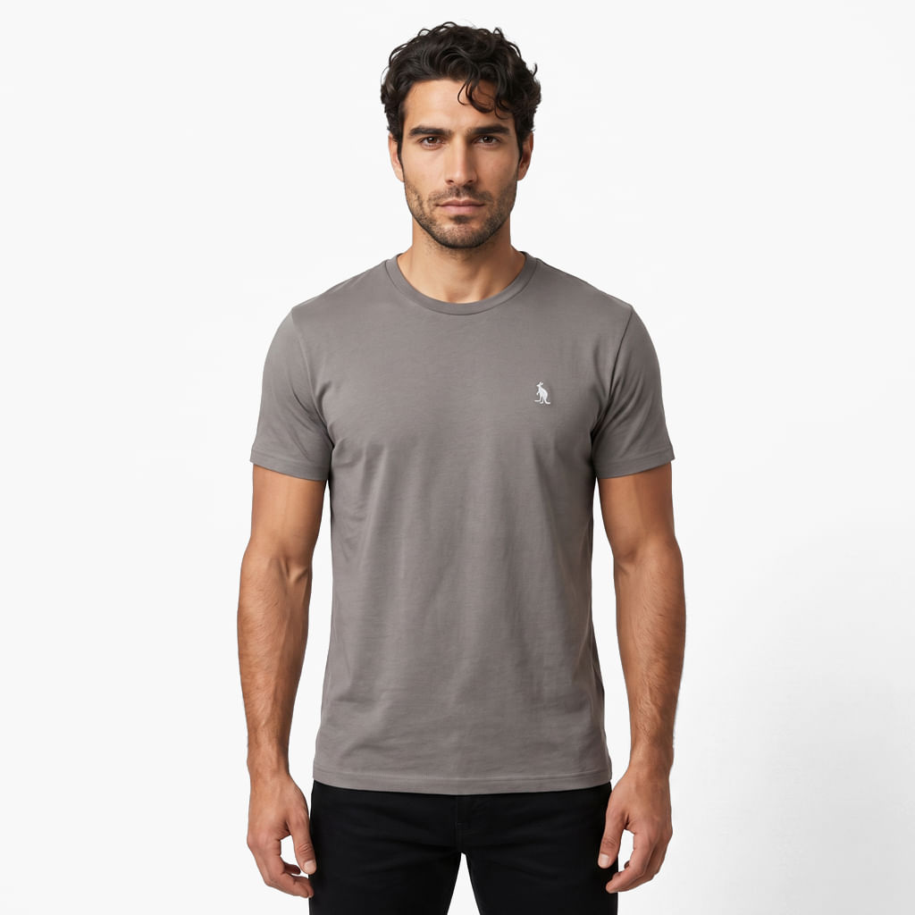 Camiseta Básica Meia Malha - Cinza