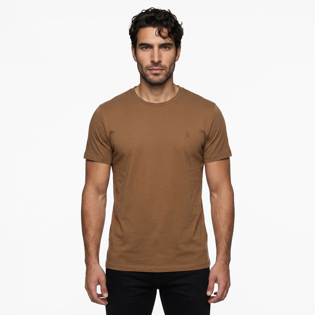 Camiseta Básica Meia Malha - Charuto